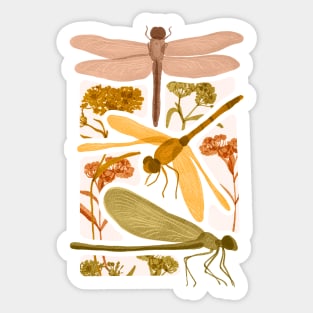 Dusky Earth Tone Dragonfly Abstract Sticker